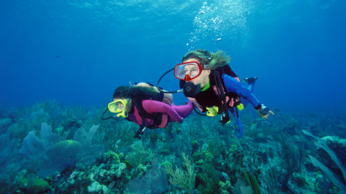 Intro Scuba Dive – Sharm EL Sheikh