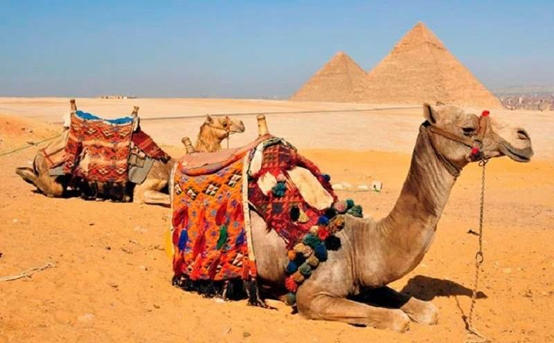 Day-Trip to Cairo by Plane from Sharm el-Sheikh