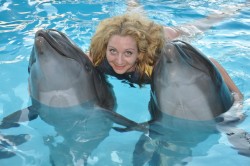 swim with wild dolphins sharm el sheikh