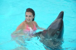swim with wild dolphins sharm el sheikh