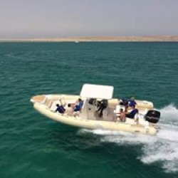 Speed Boat Ride Excursion in Sharm El Sheikh