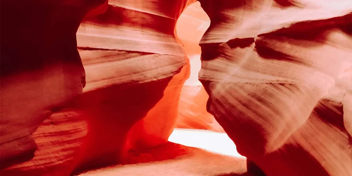 Dolphinarium-in-Sharm-El-Sheikh