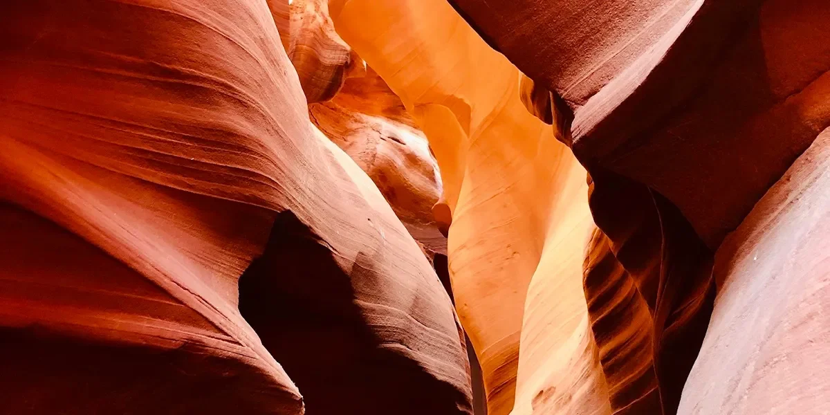 Dolphinarium-in-Sharm-El-Sheikh.jpg2