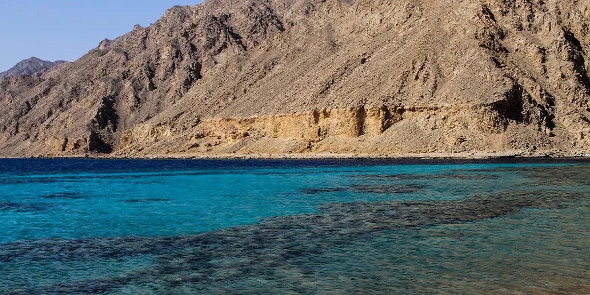 Dolphinarium-in-Sharm-El-Sheikh.jpg6